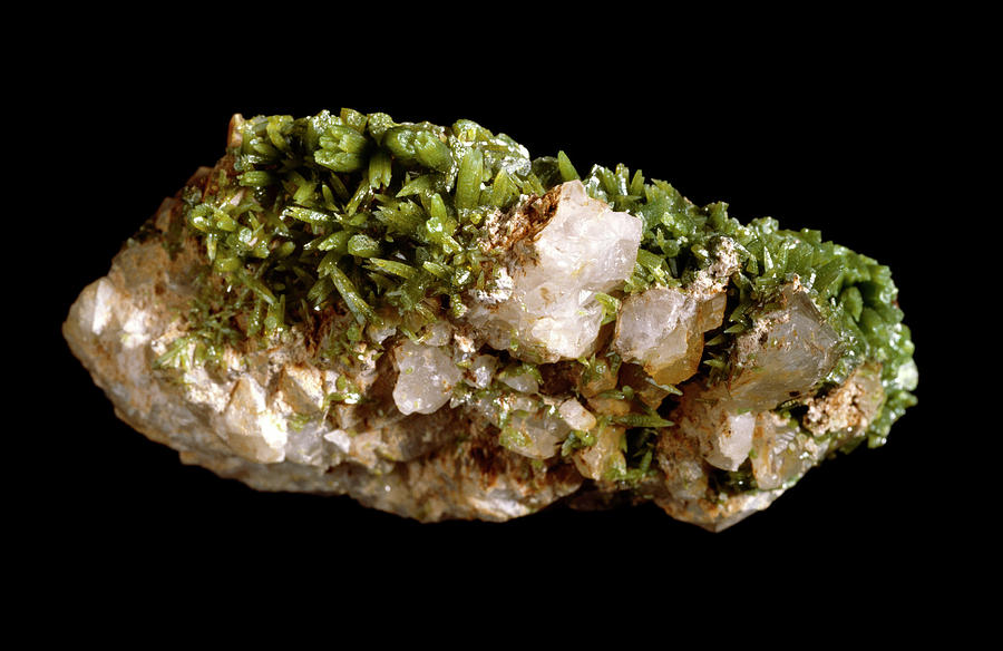 Pyromorphite Mineral Specimen Photograph by Natural History Museum ...