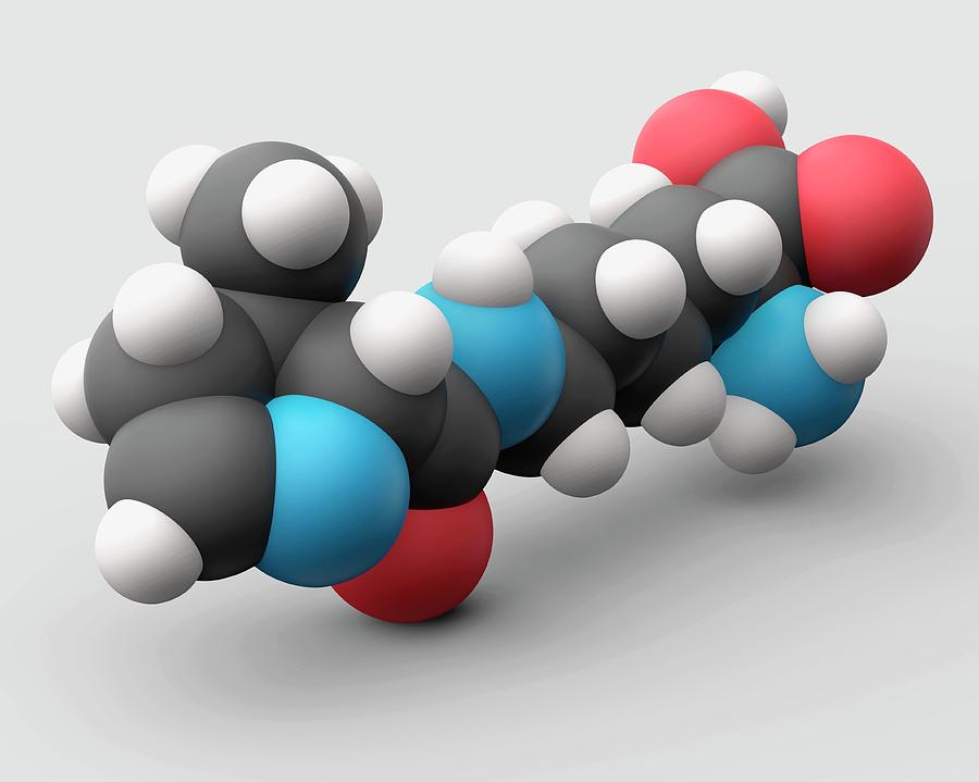 Pyrrolysine Amino Acid Molecule by Carlos Clarivan/science Photo Library