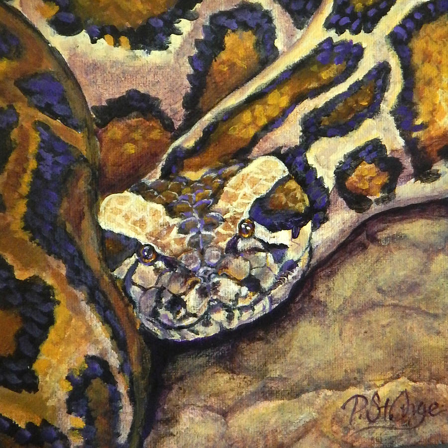Python Painting by Pat St Onge