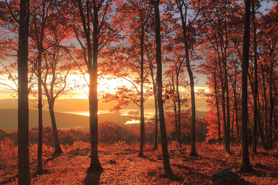 Fall Photograph - Quabbin Reservoir Oak Foliage Sunrise by John Burk