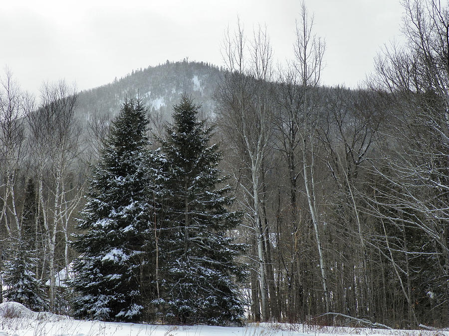 Winter Photograph - Quaggy Jo Mountain by Gene Cyr
