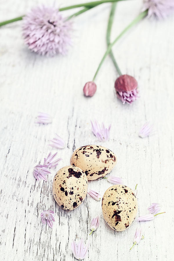 Quail Eggs and Fresh Chives Photograph by Stephanie Frey