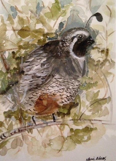Quail Watching Covey Painting by Marie Adams - Fine Art America