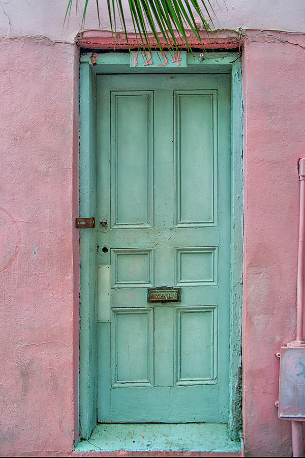New Orleans Photograph - Quaint Little Door in the Quarter by Brenda Bryant