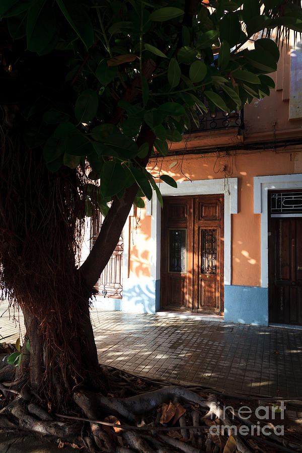 Quaint Spanish house in shadow of old tree  Photograph by Peter Noyce