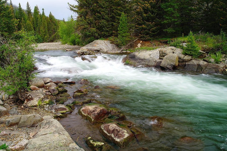 Quaint stream in the Beartooth mountains  Photograph by Jeff Swan