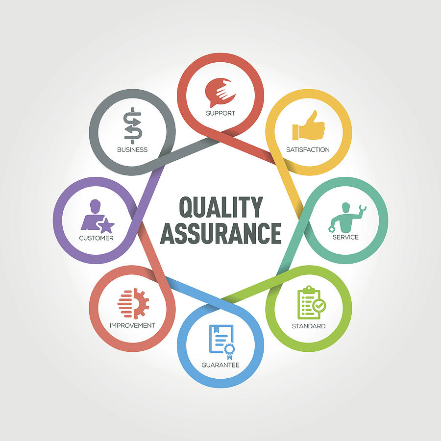 Quality Assurance infographic with 8 steps, parts, options Drawing by Enis Aksoy