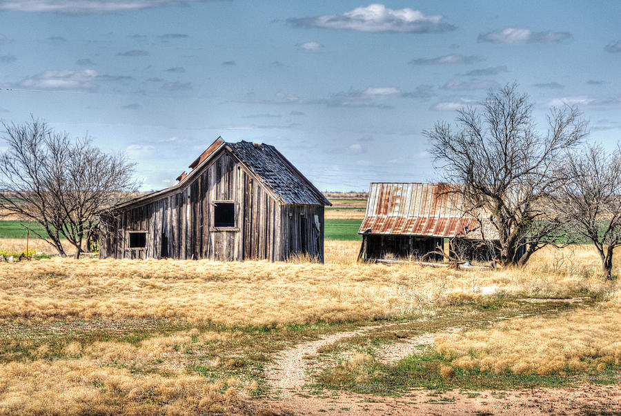 Quanah Barn Photograph by Lisa Moore - Fine Art America