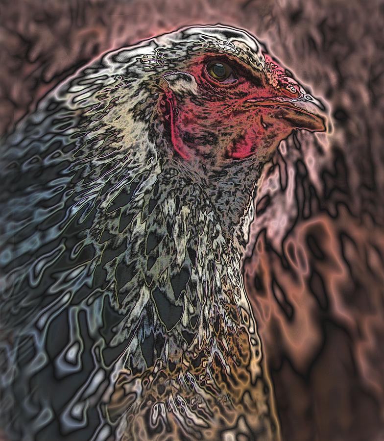 Quantum Hen Photograph by Lora Fisher