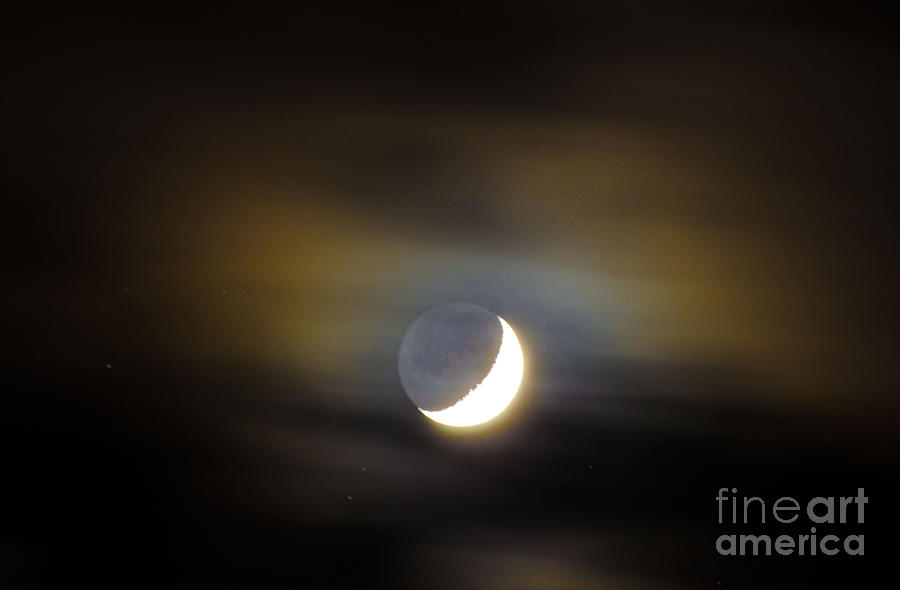 Quarter Moon Photograph by Judy Wolinsky