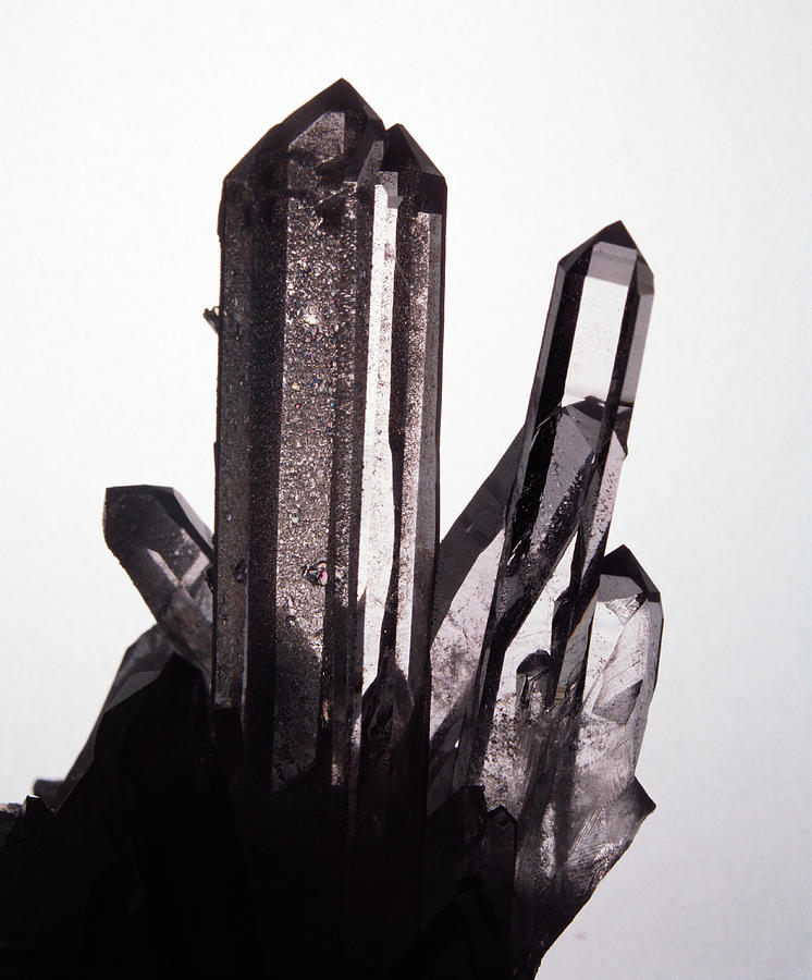 Quartz Crystals Photograph by Lawrence Lawry/science Photo Library