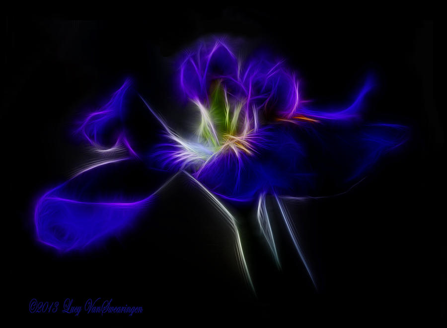 Quasar Iris Photograph by Lucy VanSwearingen