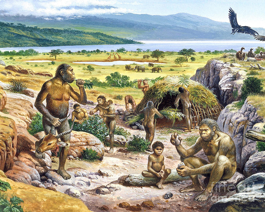 quaternary period humans