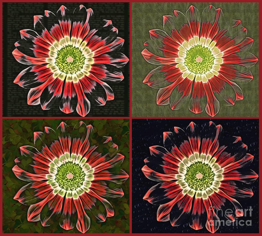 Quatro Floral - 0102cba Digital Art by Variance Collections