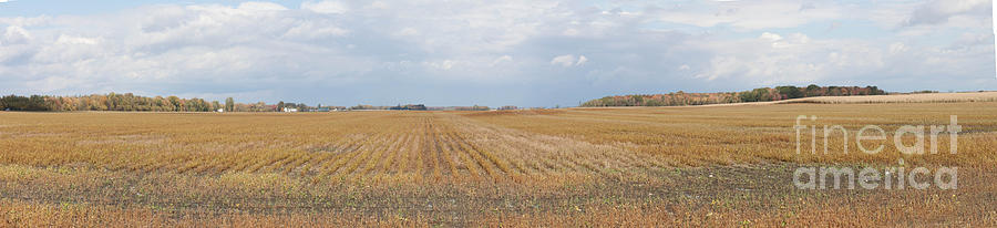 Quebec Field after the Harvest Photograph by Thomas Marchessault