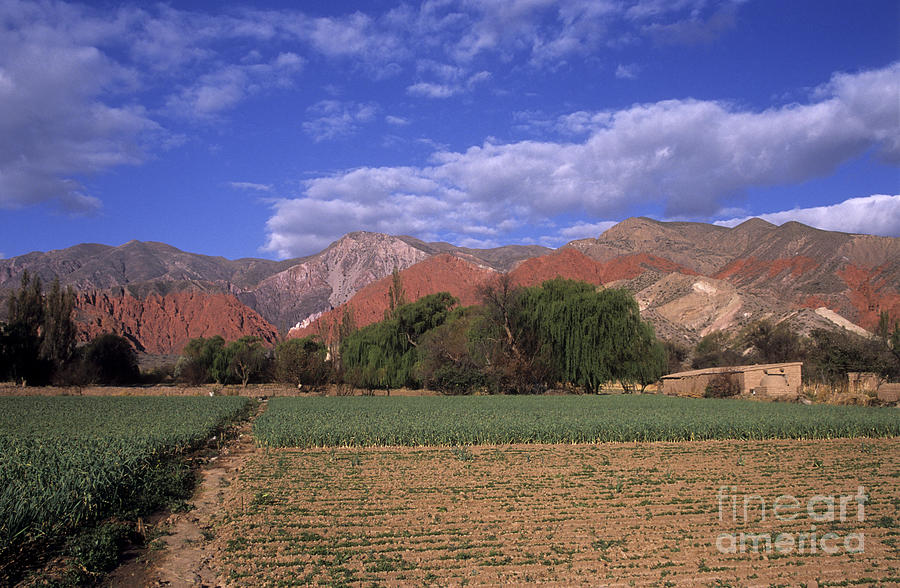 Rural Scene Photograph - Quebrada de Humahuaca Argentina by James Brunker