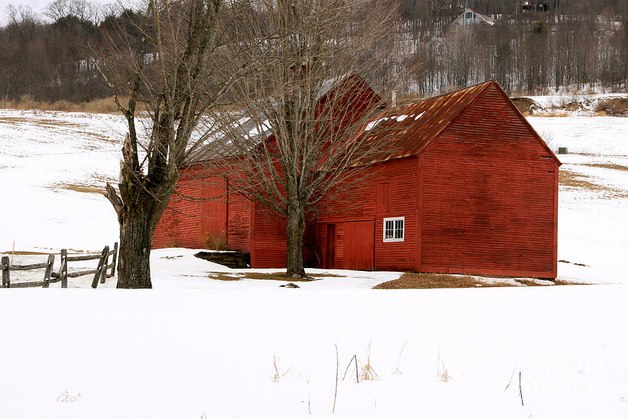Quechee Red Barn Photograph by Butch Lombardi