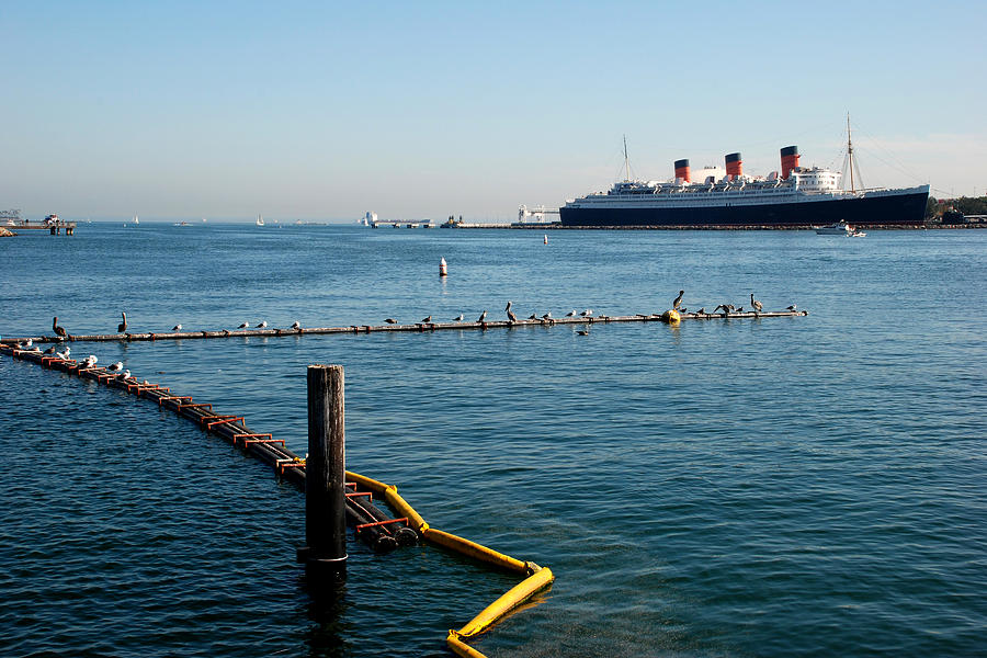 Queen Mary Photograph by Steve Tracy
