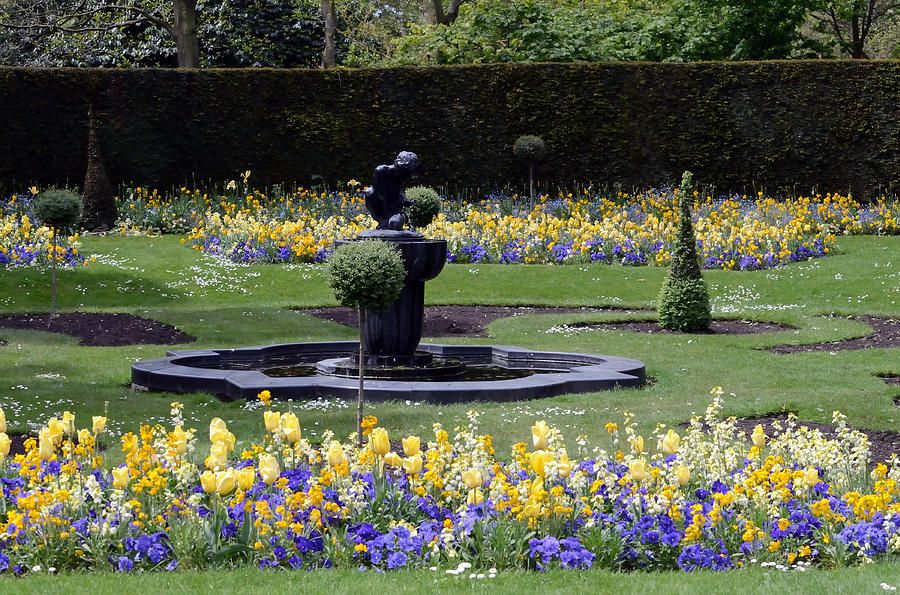 Queen Marys Garden London England Photograph by Tom Wurl