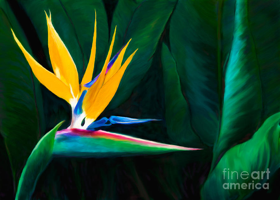 Painted Queen of the Garden Bird Of Paradise Flower Painting by Sherry  Curry