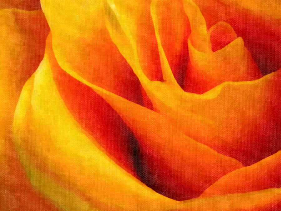 Queen Rose - Digital Painting Effect Photograph by Rhonda Barrett