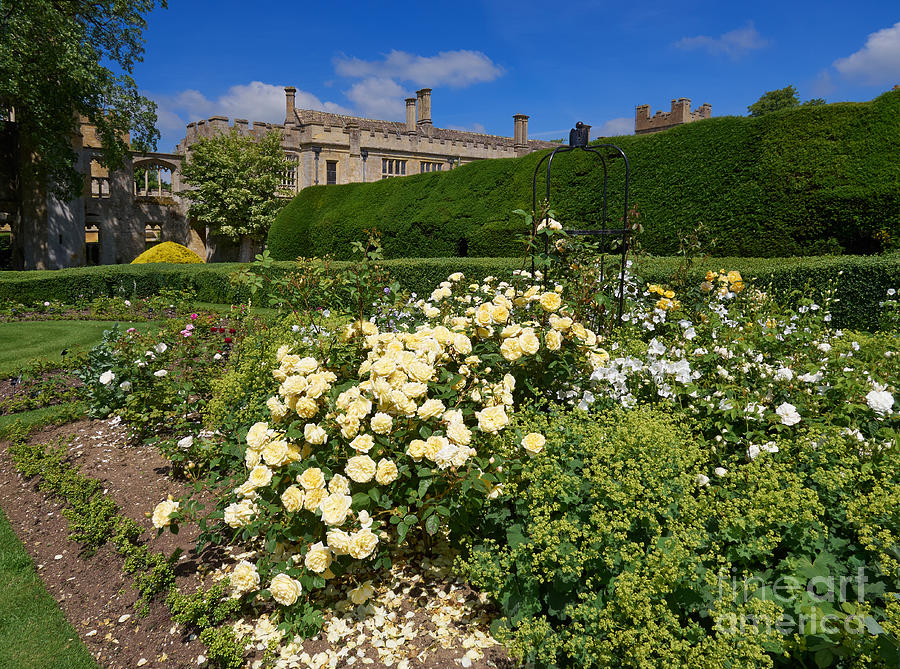 Queens Garden at Sudeley Castle Gardens Photograph by Louise Heusinkveld