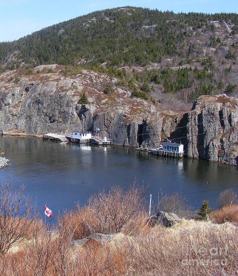 Quidi Vidi Fishing Stages Photograph by Barbara A Griffin