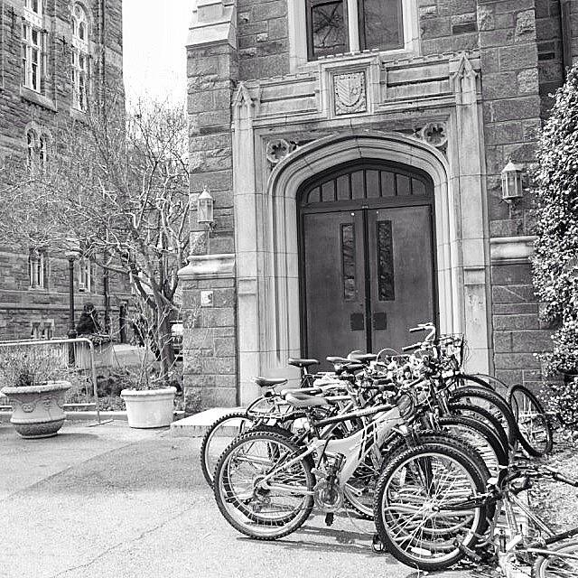 Georgetown University Photograph - Quiet An Empty Campus @ Georgetown by Audrey Park
