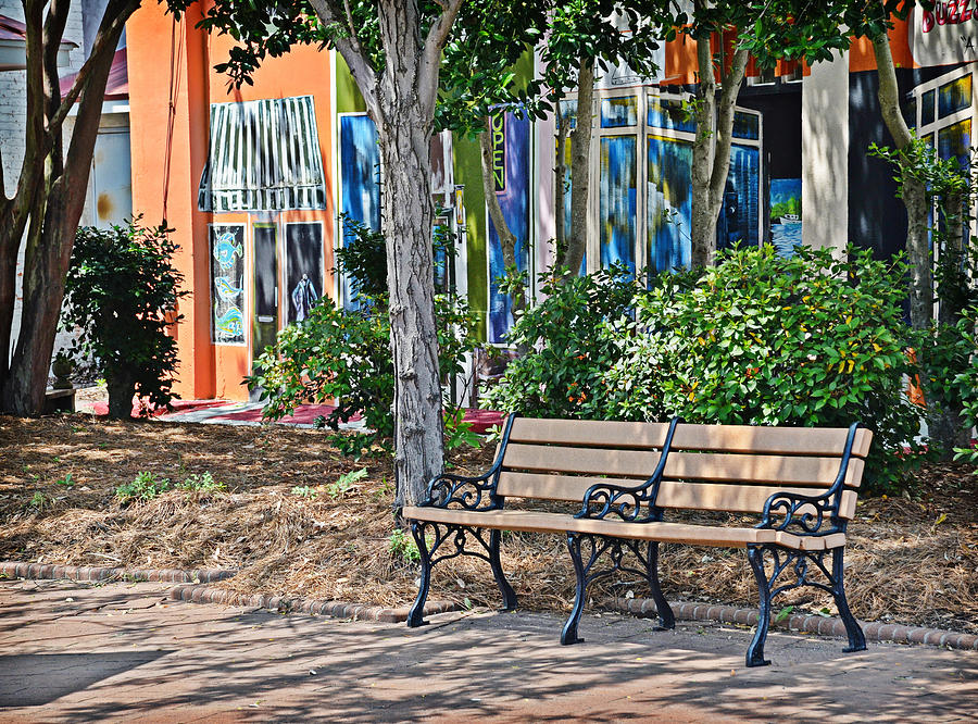 Quiet Bench Photograph by Linda Brown
