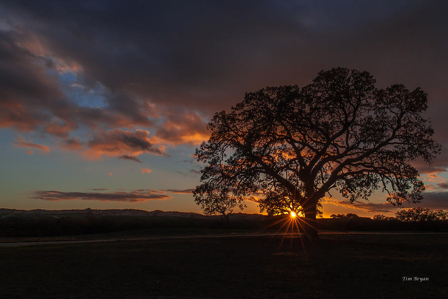 Sunset Photograph - Quiet Close by Tim Bryan