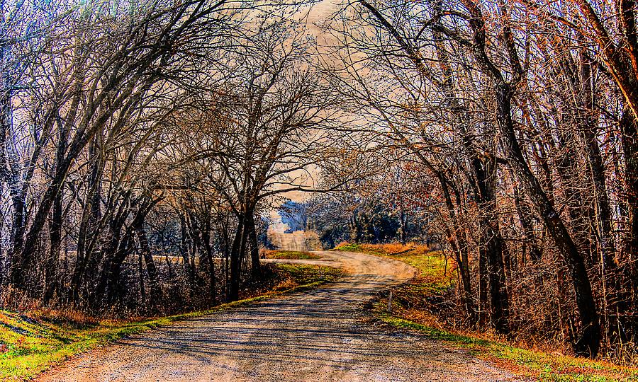 Quiet Country Road Photograph by Karen McKenzie McAdoo