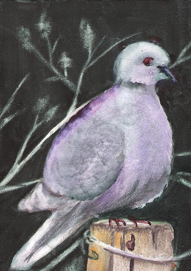 Quiet Dove Painting by Marsha Woods