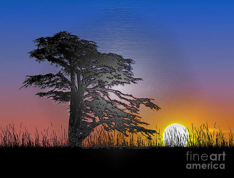 Serene Sunset Behind Majestic Tree on Hillside Digital Art by Landscape