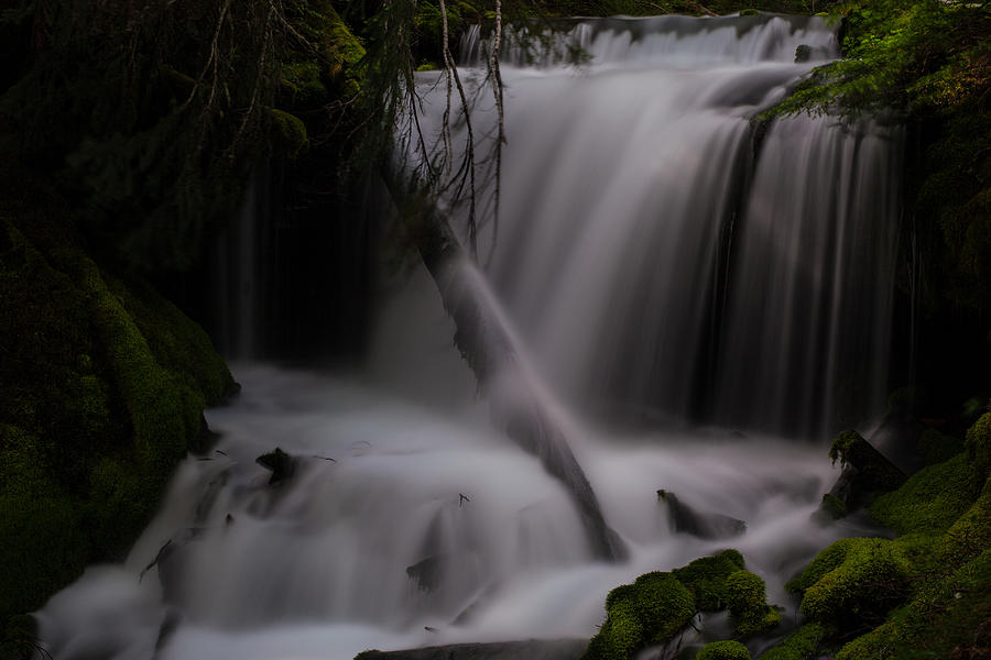 Quiet Falls Photograph by Mike Reid - Fine Art America