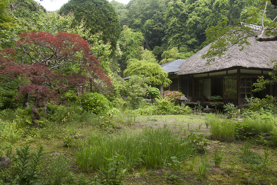 Quiet Garden Photograph by Masami Iida