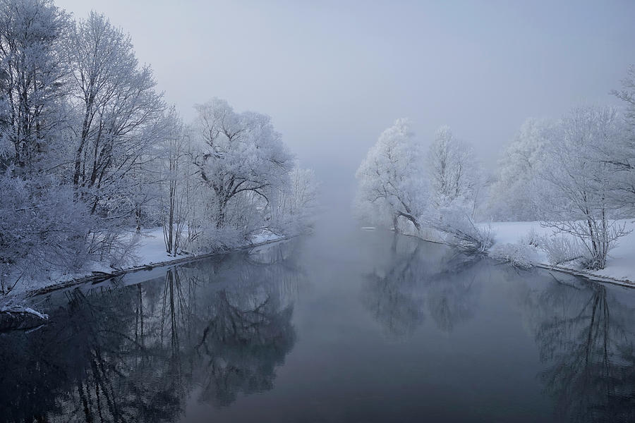 Winter Photograph - Quiet Morning by Norbert Maier