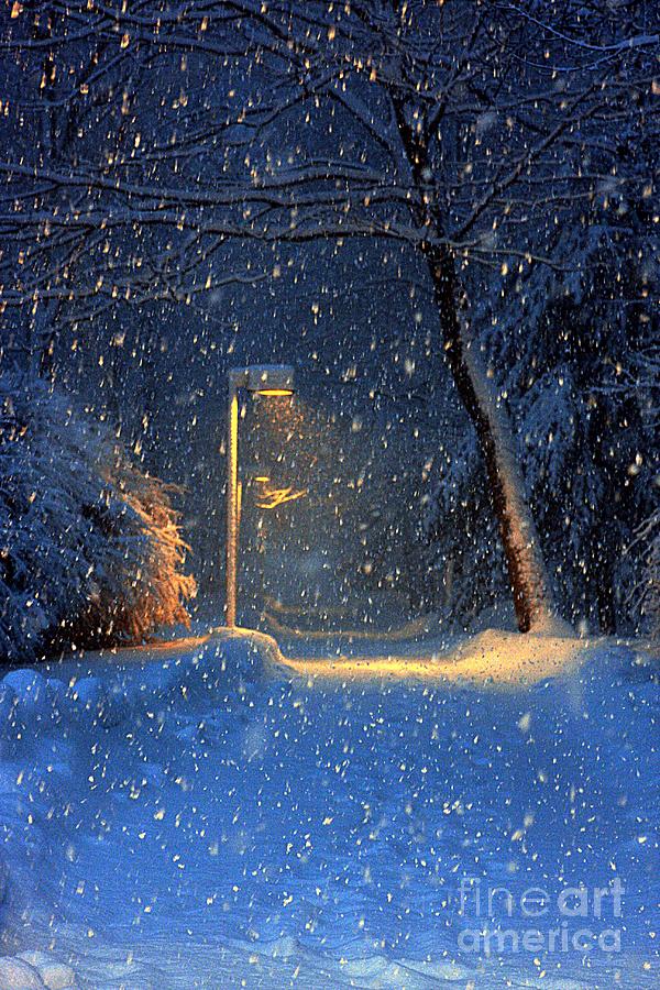 Quiet Night In Winter Photograph by Marcia Lee Jones
