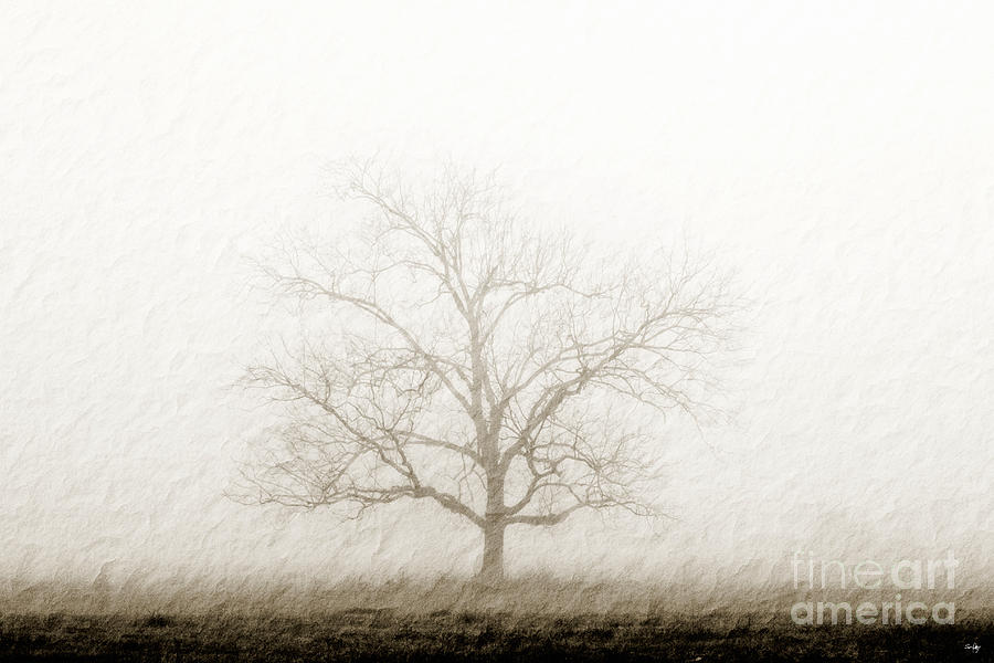 Nature Photograph - Quiet of Winter by Scott Pellegrin