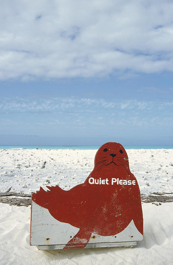 Quiet Please Monk Seal Breeding Grounds Photograph by Tui De Roy
