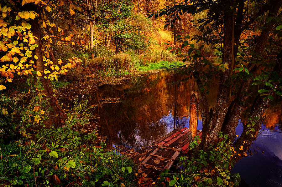 Tree Photograph - Quiet Pond by Jenny Rainbow