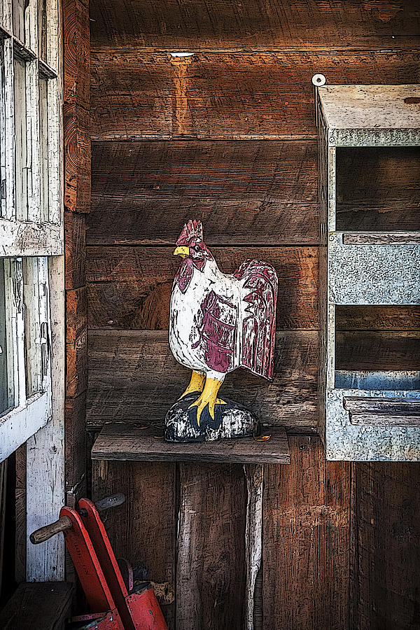 Quiet Rooster Wood Carved Photograph by Rich Franco