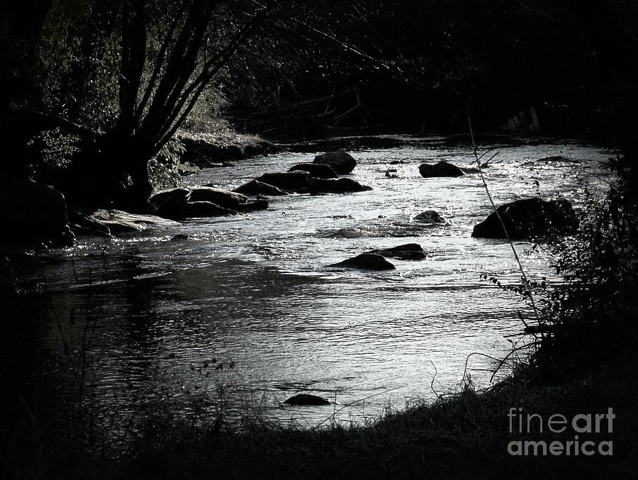 Quiet Stream Photograph by Cynthia Mask - Pixels