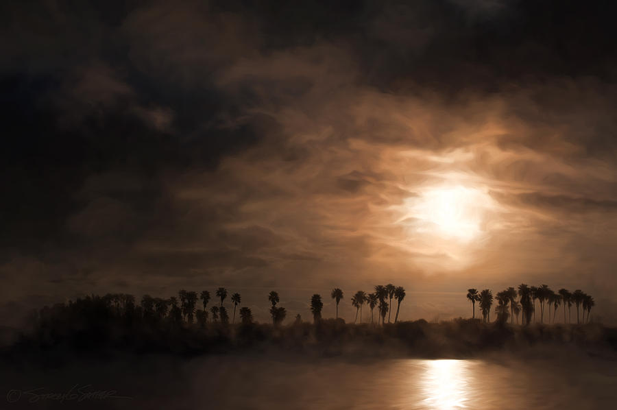 Quiet sunrise with fog and palm trees Photograph by Stacey Sather