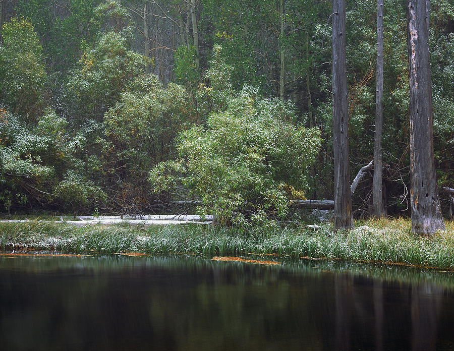 Quiet Time Along Rush Creek Photograph by Paul Breitkreuz