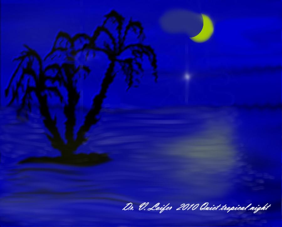 Quiet  tropic night Digital Art by Dr Loifer Vladimir