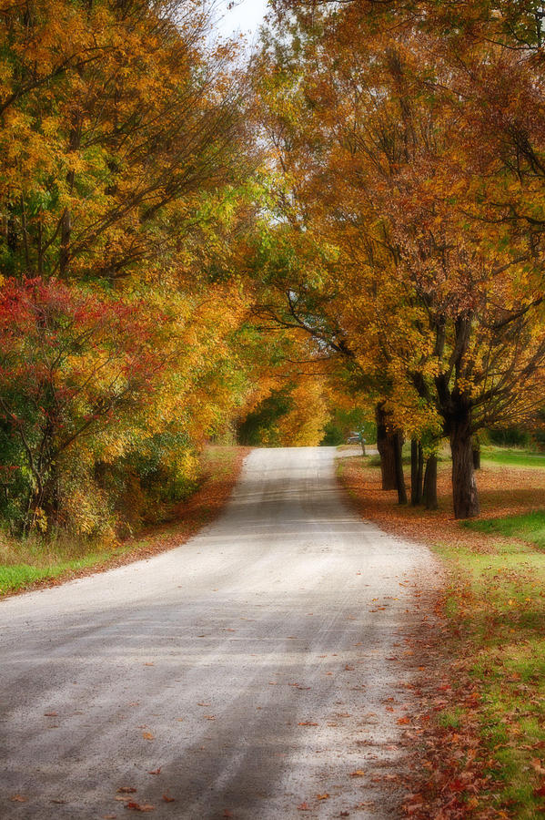 Fall Photograph - Quiet Vermont backroad by Jeff Folger
