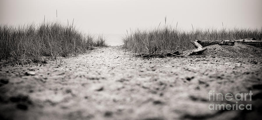 Black And White Photograph - Quiet Walk by Christina Klausen