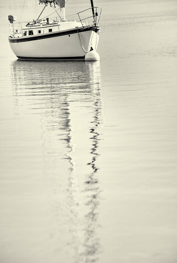 Black And White Photograph - Quiet Water by Karol Livote