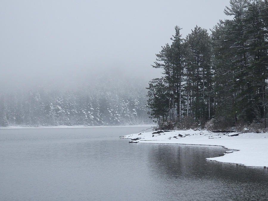 Quiet Winter Scene at the Lake 1 Photograph by Nancy De Flon