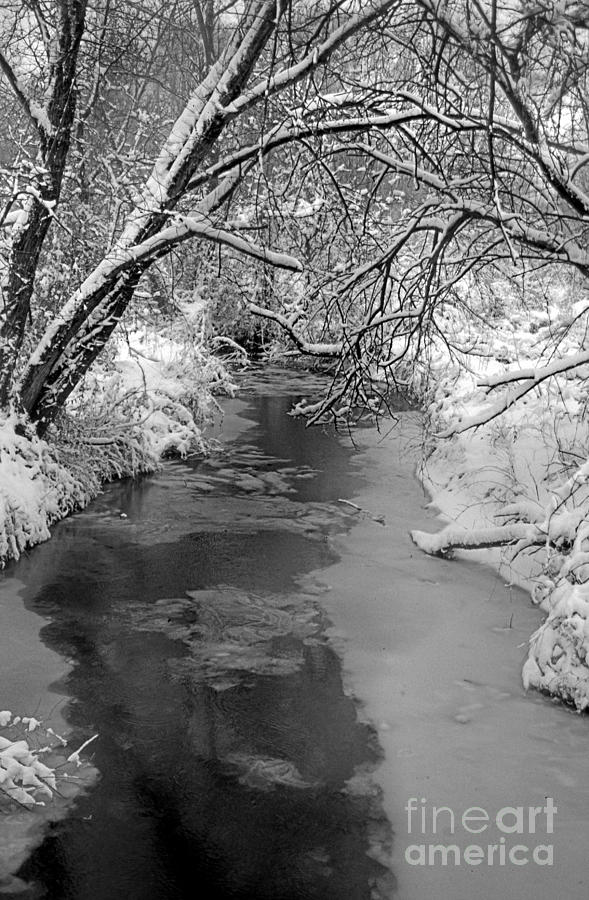 Quiet Winter Vision Photograph